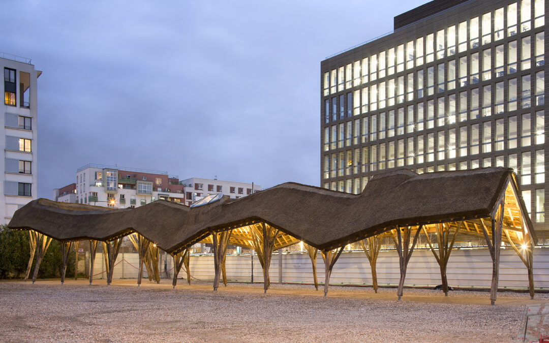 TERRA FIBRA AWARD 2021 !