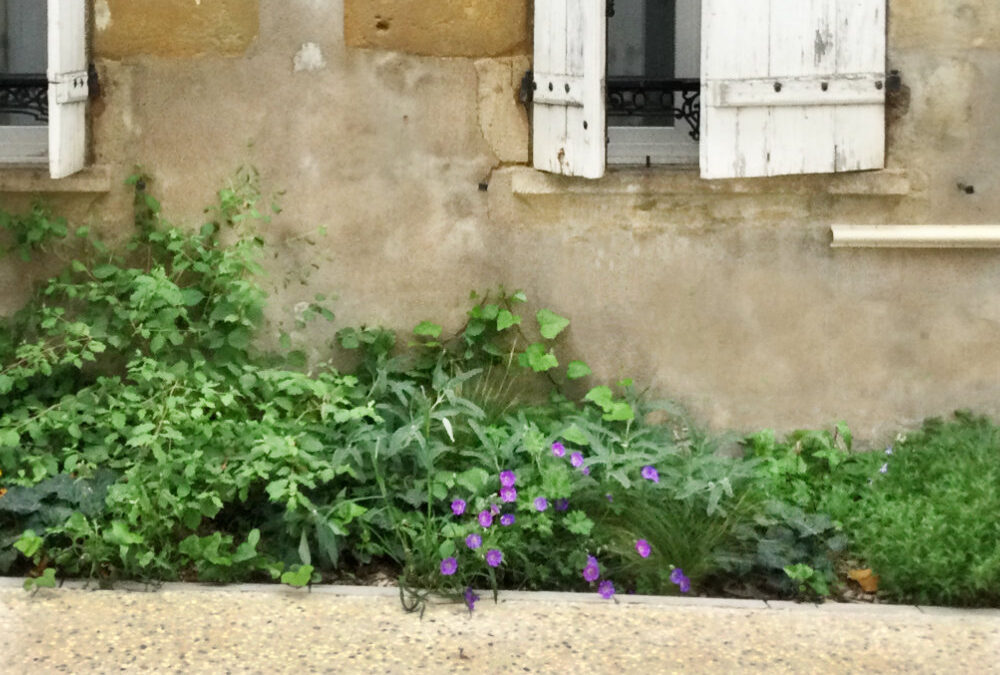 RESILIENCE MEDIEVALE