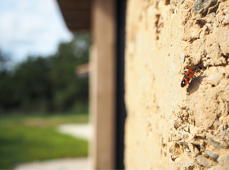 visite d&rsquo;un chantier en pisé !