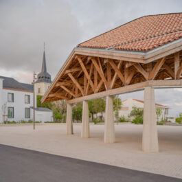 2605-Amenagement-halle-D'Ici La╠Ç paysage-Moonwalklocal architectes-St-Hilaire-De-Riez-Francois-Dantart-Halle-5