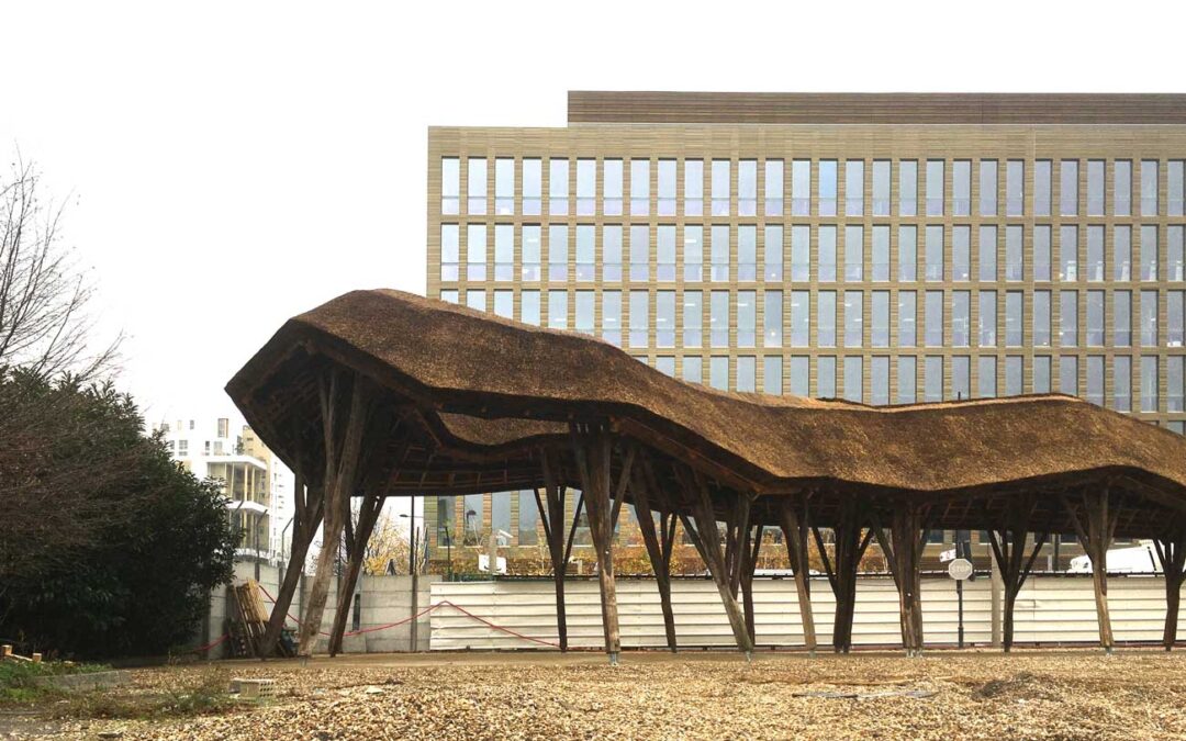 Chaume urbain